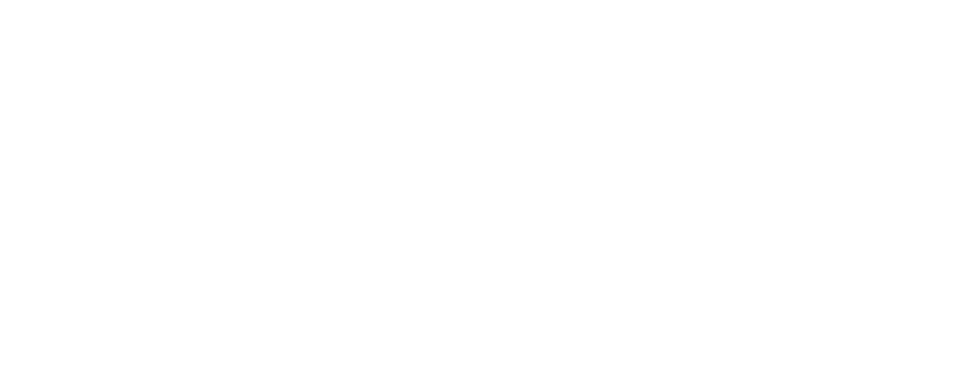 LINSCORE 灵思芯创